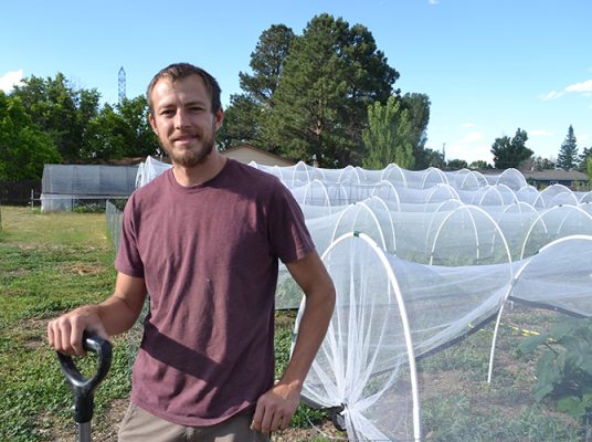 Peter Haschke's ground plots under hail netting in south Cheyenne